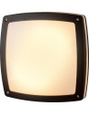 Azzardo FANO S 30 IP54 2xE27 Outdoor Black Ceiling Light AZ4372