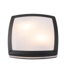 Outdoor ceiling lamps - Azzardo FANO S 30 IP54 2xE27 Outdoor Dark Grey Ceiling Light AZ4370 - product 1