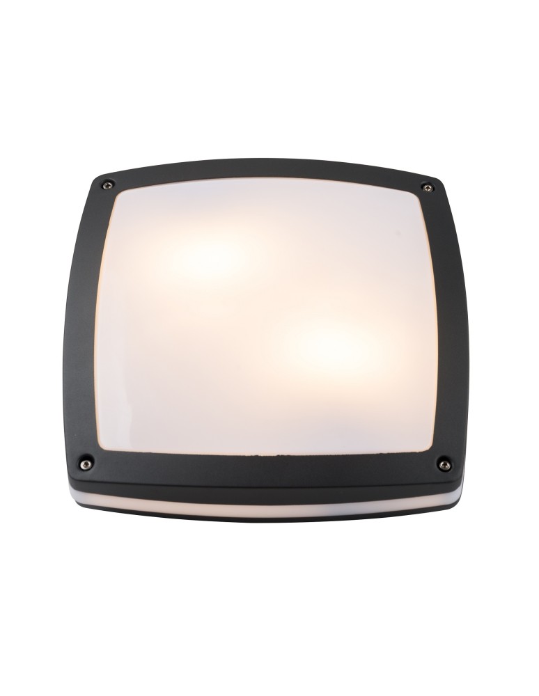 Outdoor ceiling lamps - Azzardo FANO S 30 IP54 2xE27 Outdoor Dark Grey Ceiling Light AZ4370 - product kolory-swiatla.pl 1