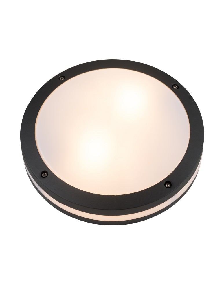 Outdoor ceiling lamps - Azzardo FANO R 30 IP54 2xE27 Outdoor Dark Grey Ceiling Light AZ4369 - product kolory-swiatla.pl 1