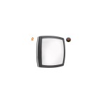 Outdoor ceiling lamps - Azzardo FANO S 30 IP54 SMART LED RGB 24W 1720lm 2600K-6000K Outdoor Dark Grey Ceiling Fixture AZ4787 - product 1