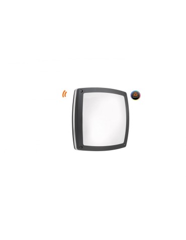 Azzardo FANO S 30 IP54 SMART LED RGB 24W 1720lm 2600K-6000K Outdoor Dark Grey Ceiling Fixture AZ4787