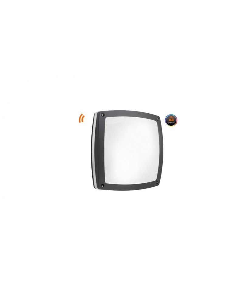 Outdoor ceiling lamps - Azzardo FANO S 30 IP54 SMART LED RGB 24W 1720lm 2600K-6000K Outdoor Dark Grey Ceiling Fixture AZ4787 - product kolory-swiatla.pl 1