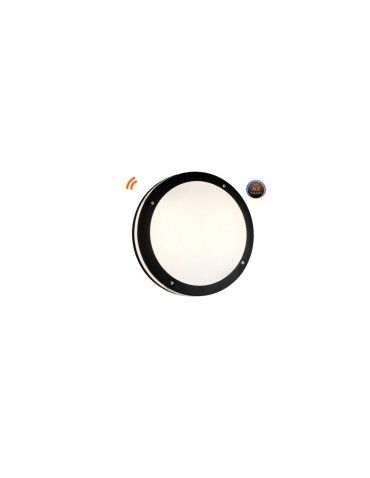 Azzardo FANO R 30 IP54 SMART LED RGB 24W 1720lm 2600K-6000K Outdoor Black Ceiling Mount AZ4783