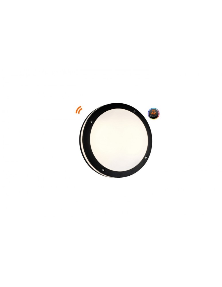 Outdoor ceiling lamps - Azzardo FANO R 30 IP54 SMART LED RGB 24W 1720lm 2600K-6000K Outdoor Black Ceiling Mount AZ4783 - product kolory-swiatla.pl 1