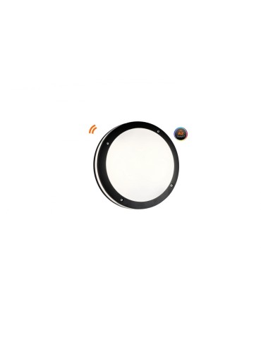 Azzardo FANO R 30 IP54 SMART LED RGB 24W 1720lm 2600K-6000K Outdoor Dark Grey Ceiling Fixture AZ4784