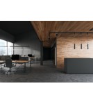 Accessories for 3 phase busbars - Nowodvorski CTLS ADAPTER FOR CAMELEON SYSTEM Black Adapter for 3F Busbar. - product 3