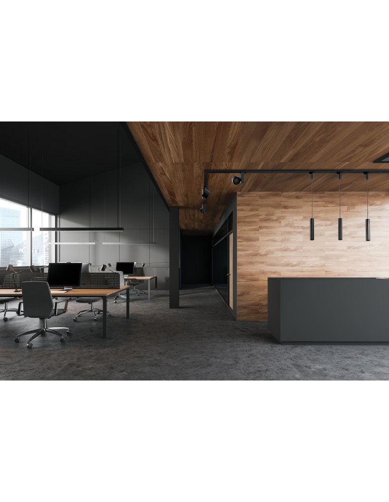 Accessories for 3 phase busbars - Nowodvorski CTLS ADAPTER FOR CAMELEON SYSTEM Black Adapter for 3F Busbar. - product kolory-swiatla.pl 3