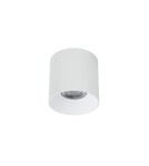 Surface-mounted downlights - Nowodvorski CL IOS LED 30W 4000K ANGLE 36 Commercial Lighting Spot LED surface-mounted lamp Max wattage 1x30W LED White 8730 - product 1