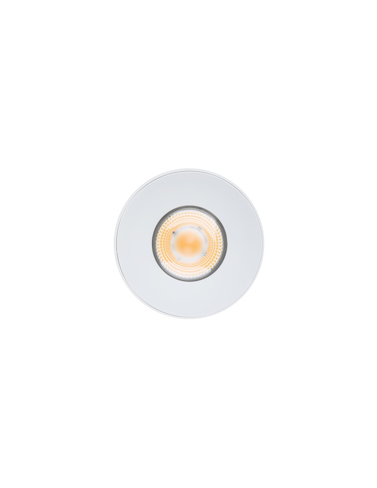 Surface-mounted downlights - Nowodvorski CL IOS LED 30W 4000K ANGLE 36 Commercial Lighting Spot LED surface-mounted lamp Max wattage 1x30W LED White 8730 - product kolory-swiatla.pl 3