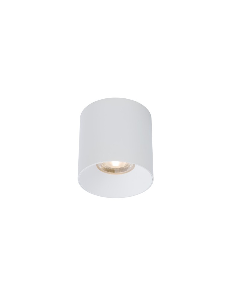 Surface-mounted downlights - Nowodvorski CL IOS LED 30W 4000K ANGLE 36 Commercial Lighting Spot LED surface-mounted lamp Max wattage 1x30W LED White 8730 - product kolory-swiatla.pl 4