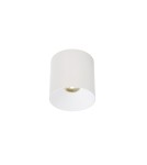 Surface-mounted downlights - Nowodvorski CL IOS LED 20W 3000K ANGLE 36 Commercial Lighting Spot LED surface-mounted lamp Max wattage 1x20W LED White 8740 - product 4