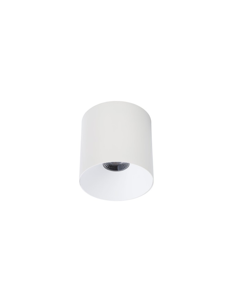 Surface-mounted downlights - Nowodvorski CL IOS LED 20W 4000K ANGLE 60 Commercial Lighting Spot LED surface-mounted lamp Max wattage 1x20W LED White 8743 - product kolory-swiatla.pl 1
