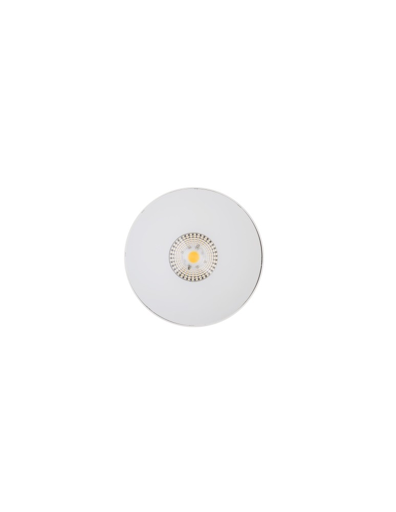 Surface-mounted downlights - Nowodvorski CL IOS LED 20W 3000K ANGLE 60 Commercial Lighting Spot LED surface-mounted lamp Max wattage 1x20W LED White 8744 - product kolory-swiatla.pl 3