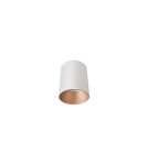 Ceiling luminaires for replaceable light source - Nowodvorski EYE TONE Spot Surface Max wattage 1x10W only LED GU10 White/Gold 8926 - product 1