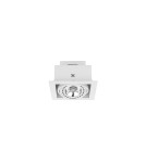 Flush-mounted lamps - pendants - Nowodvorski DOWNLIGHT ES111 Spot Concealed Max power 1x15W GU10 ES111 White 9575 - product 1