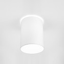 Nowodvorski CAMERON Ceiling Plafond Max power 1x25W only LED E27 White 9685