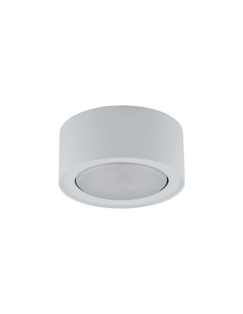 Ceiling luminaires for replaceable light source - Nowodvorski FLEA Spot Surface Mounted Max wattage 12W GX53 White 8202 - product kolory-swiatla.pl 1