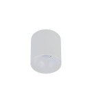 Ceiling luminaires for replaceable light source - Nowodvorski POINT TONE Surface Mounted Spot Max wattage 10W only LED GU10 White 8222 - product 1