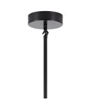 Pendant lamps - Step into Design MODERN ORCHID-6 transparent black 130cm pendant lamp (ST-1232-6 TRANSPARENT) - product 8