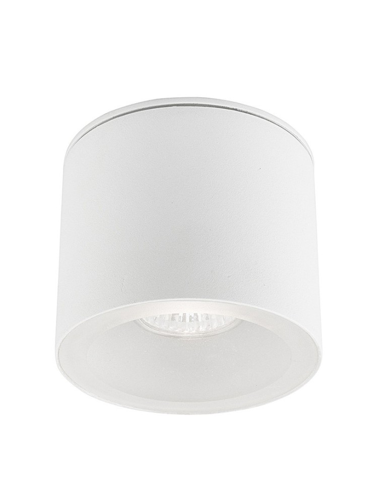 Outdoor ceiling lamps - Nowodvorski HEXA Outdoor Ceiling Plafond Max power 1x35W GU10 IP44 White 9564 - product kolory-swiatla.pl 1