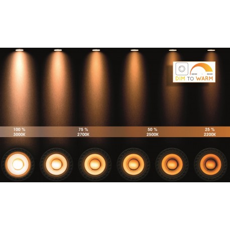 Lucide NIGEL Sufitowa Reflektorowa LED GU10 4x5W 2200-3000K Czarny 09929/20/16