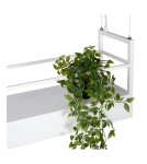 Pendant lamps - Lucide MIRAVELLE Pendant GU10 6x40W White 21427/06/31 - product 9