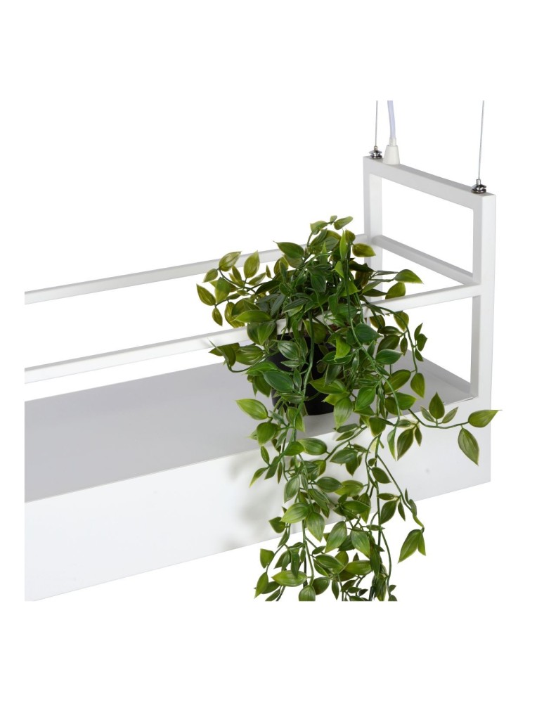 Pendant lamps - Lucide MIRAVELLE Pendant GU10 6x40W White 21427/06/31 - product kolory-swiatla.pl 9