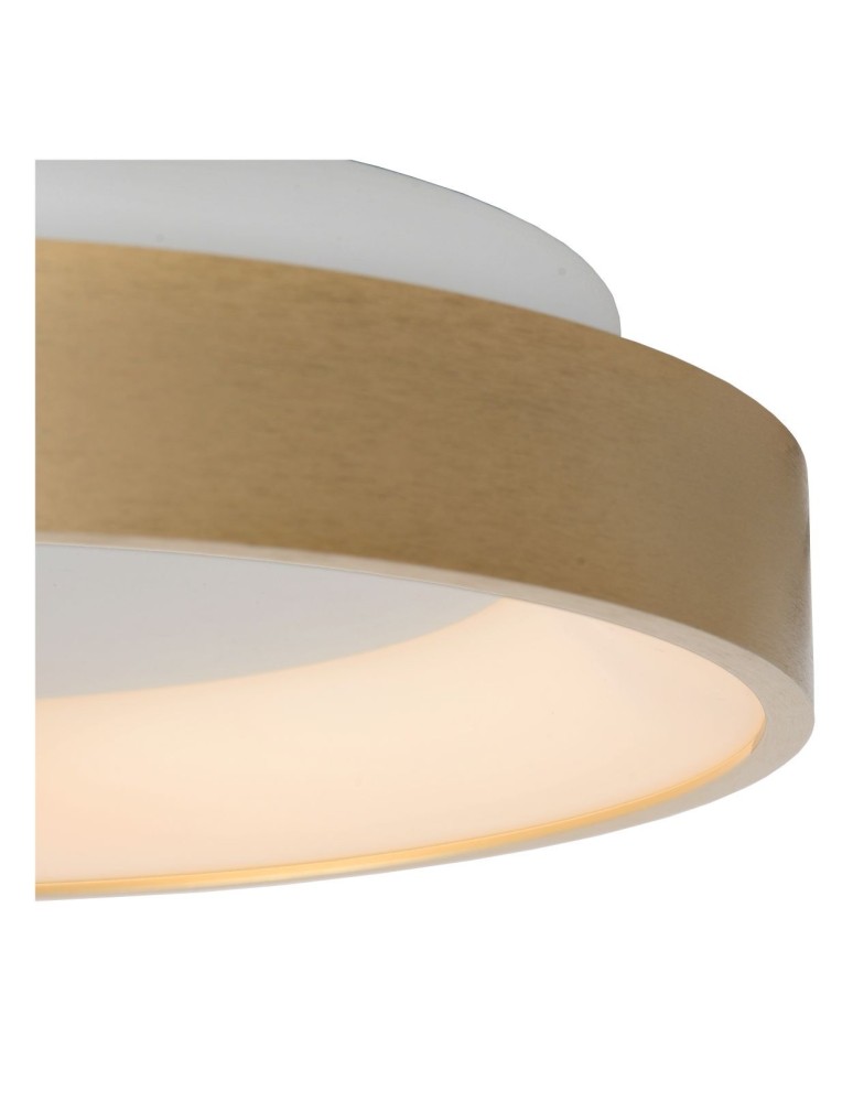Modern ceiling lamps - Lucide VIDAL LED Ceiling 1x21W 2700K Gold Matte/Brass/Opal 46103/20/02 - product kolory-swiatla.pl 5