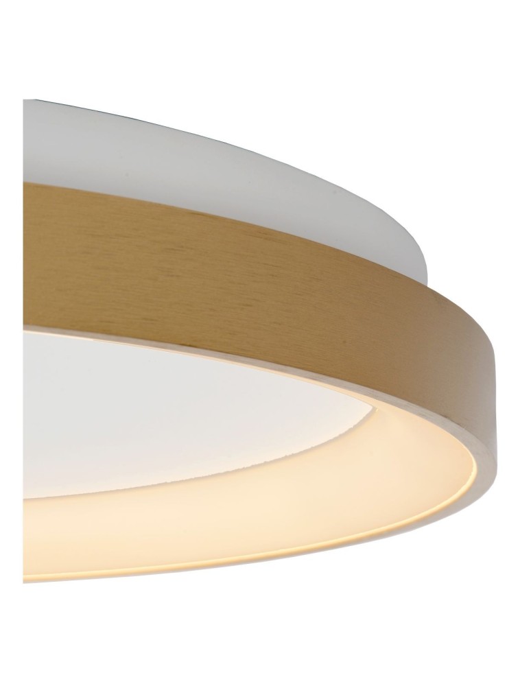 Modern ceiling lamps - Lucide VIDAL LED Ceiling 1x38W 2700K Gold Matte/Brass/Opal 46103/38/02 - product kolory-swiatla.pl 5