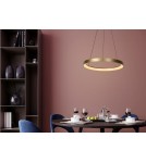Pendant lamps circles - Lucide VIDAL LED Pendant 1x50W 2700K Gold Matte/Brass/Opal 46403/48/02 - product 4