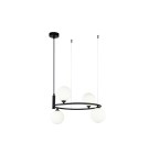 Pendant lamps - Maytoni Ring 4xG9 25W pendant MOD013PL-04B black - product 1