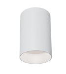 Ceiling luminaires for replaceable light source - Maytoni Alfa 1xGU10 50W ceiling light C014CL-01W white - product 1