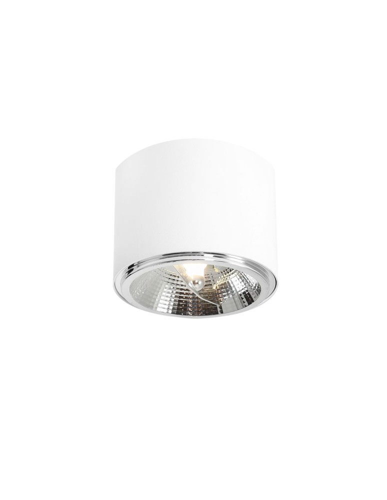 Ceiling luminaires for replaceable light source - ALDEX PLAFON BOT WHITE, 1 x 35 (1046PL_G) - product kolory-swiatla.pl 1