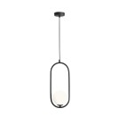 Pendant lamps spheres - ALDEX PENDING LAMP RIVA BLACK, 1 x max 40W (1086G1) - product 1
