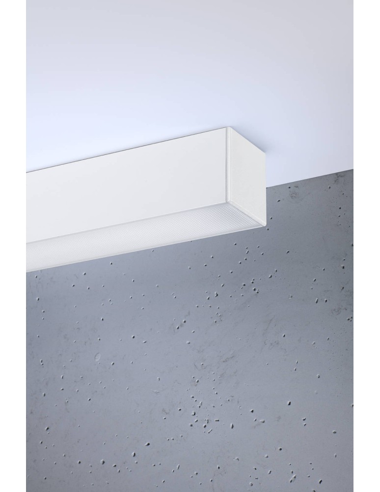 Ceiling lamps - THORO Plafond PINNE 117 white 3000K 1xLED TH.077 - product kolory-swiatla.pl 4