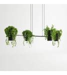 Designer pendant lamps - THORO KUKKIA Pendant 4xES111 GU10 Black TH.004CZ - product 5