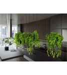 Designer pendant lamps - THORO KUKKIA Pendant 4xES111 GU10 Black TH.004CZ - product 8