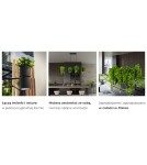 Designer pendant lamps - THORO KUKKIA Pendant 4xES111 GU10 Black TH.004CZ - product 10