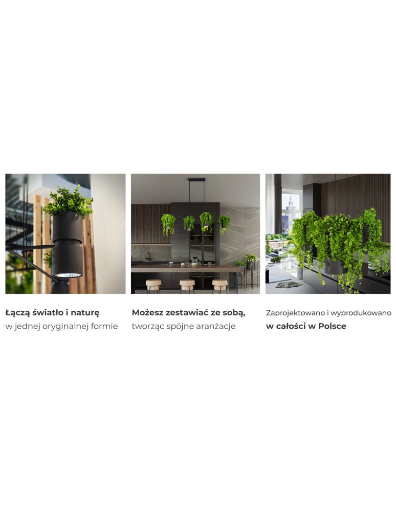 Designer pendant lamps - THORO KUKKIA Pendant 4xES111 GU10 Black TH.004CZ - product kolory-swiatla.pl 10