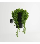 Wall lamps - THORO KUKKIA Wall lamp 1xES111 GU10 Black TH.005CZ - product 2