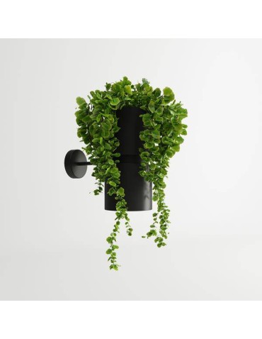 THORO KUKKIA Wall lamp 1xES111 GU10 Black TH.005CZ - product 2