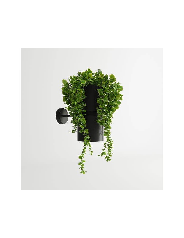 Wall lamps - THORO KUKKIA Wall lamp 1xES111 GU10 Black TH.005CZ - product kolory-swiatla.pl 2