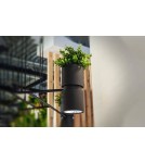 Wall lamps - THORO KUKKIA Wall lamp 1xES111 GU10 Black TH.005CZ - product 3