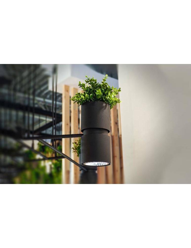 Wall lamps - THORO KUKKIA Wall lamp 1xES111 GU10 Black TH.005CZ - product kolory-swiatla.pl 3