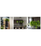 Wall lamps - THORO KUKKIA Wall lamp 1xES111 GU10 Black TH.005CZ - product 5