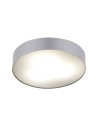Nowodvorski ARENA Ceiling Plafond Max power 10W only LED E14 Silver 10182
