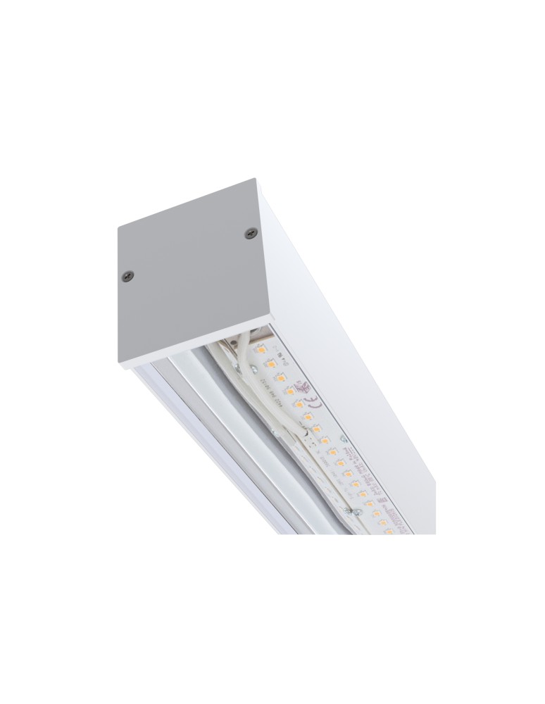 High Bay luminaires - Nowodvorski CL HALL PRO LED Commercial Lighting Max wattage 40W LED White 10207. - product kolory-swiatla.pl 2