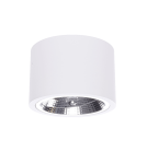 Ceiling luminaires for replaceable light source - Light Prestige Camino surface-mounted luminaire white LP-1101/1SM WH 1xQR111 white - product 1