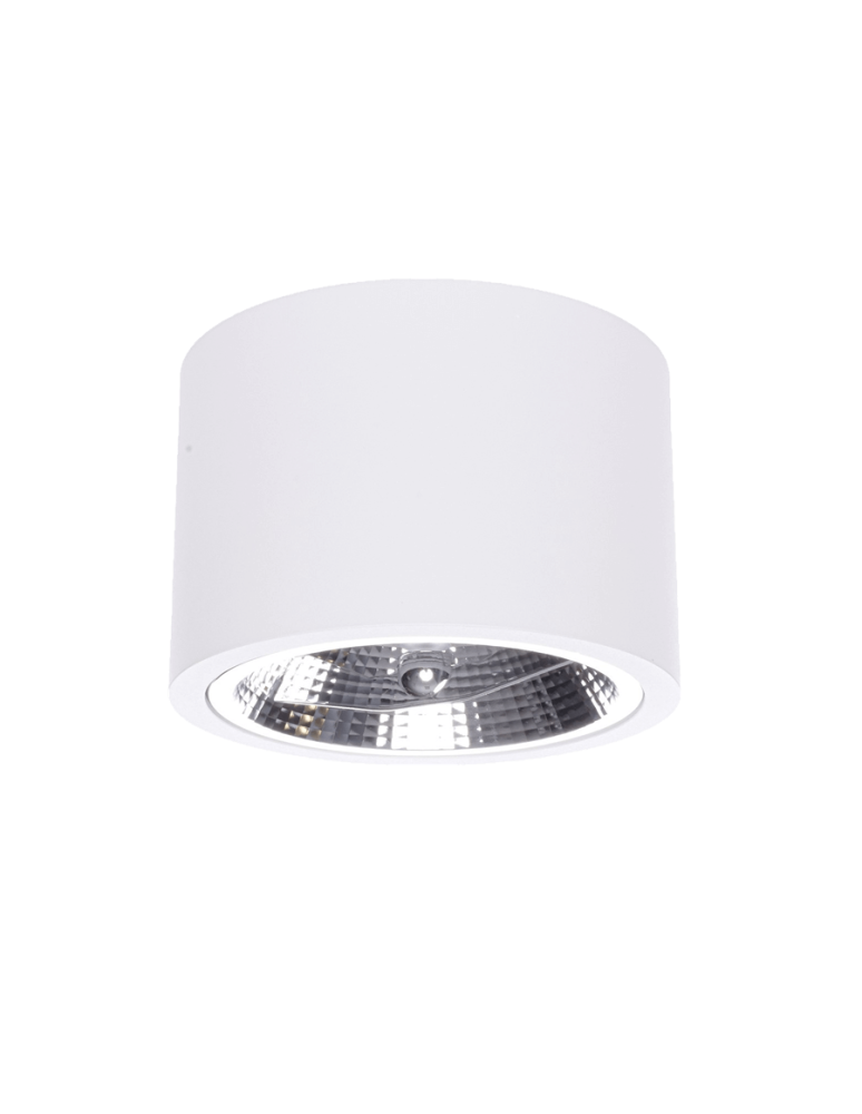 Ceiling luminaires for replaceable light source - Light Prestige Camino surface-mounted luminaire white LP-1101/1SM WH 1xQR111 white - product kolory-swiatla.pl 1